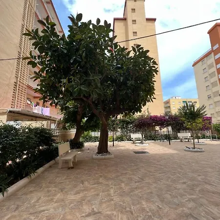 Ap Cande Playa De Gandia Exterior photo