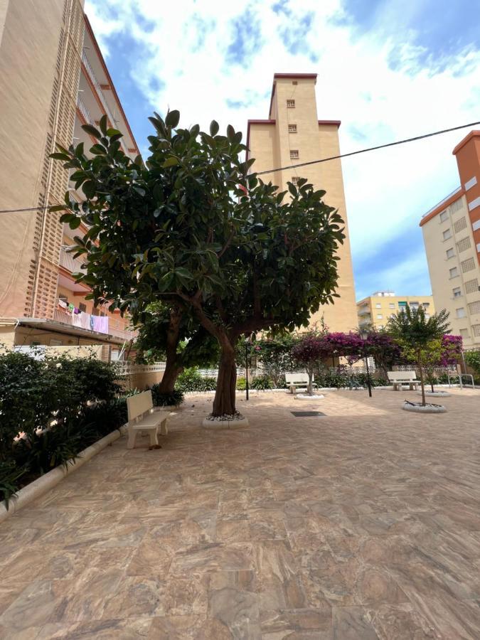 Appartement Ap Cande