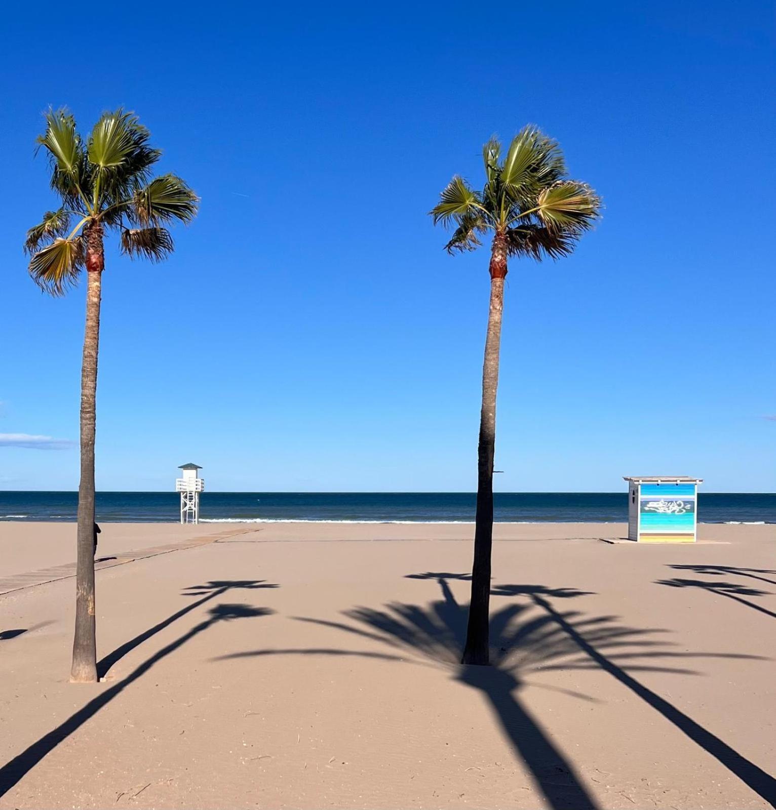 Ap Cande Playa de Gandia